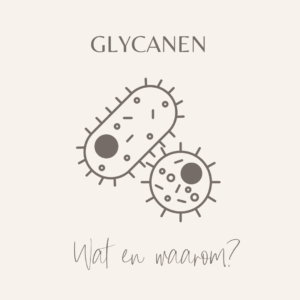 Wat zijn glycanen