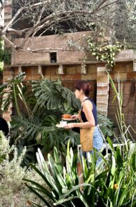 Miga de Nube Soller glutenvrij uit eten in Palma de Mallorca